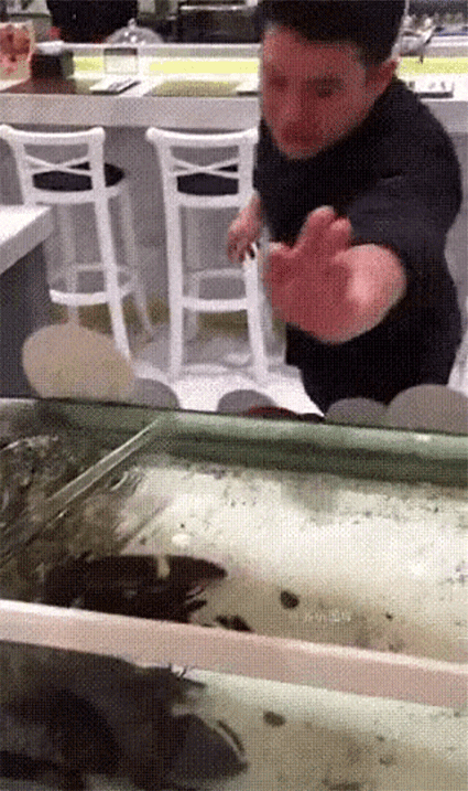 funny-gifs-lobster-high-five