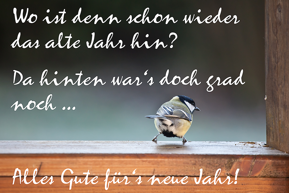 Die schönsten Tiere/Tierbilder der Welt ein-gesundes-neues-jahr-f69244ad-b372-44