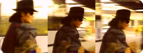 rare-michael-jackson-24242725-500-185