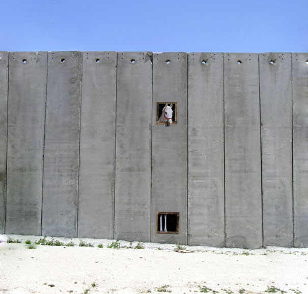 Bilder-Thread t5t1WDm oPwNGa banksy-graffiti-street-art-palest