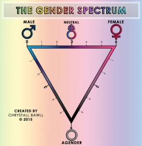 GenderSpectrum 2-292x300