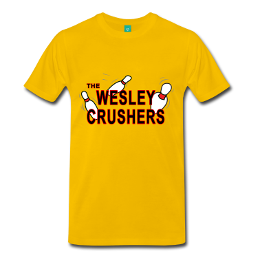 The Wesley Crushers The Big Bang Theory 