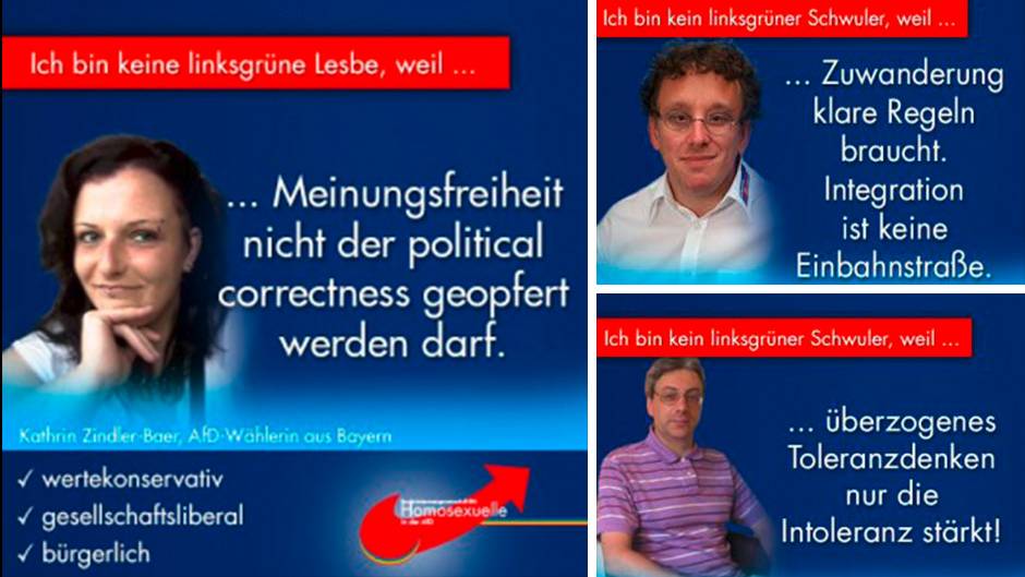 afd-homosexuelle