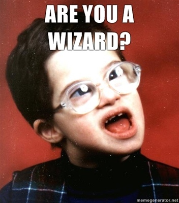 900x900px-LL-2b666c1c Are-you-a-wizard z