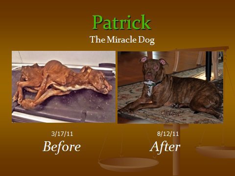 PatrickBefore-After