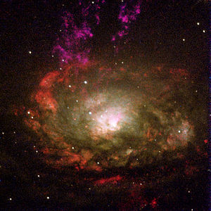 300px-Circinus.galaxy.750pix