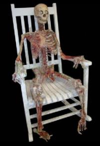 Talking Skeleton in Rocker - 201 x 293