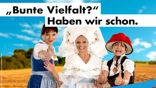 afd-wahlplakat-bundestag-wahlkampf-100 v.jpgversion6ab5f