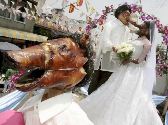 Bilder-Thread --schweinehochzeit-225288 544 0