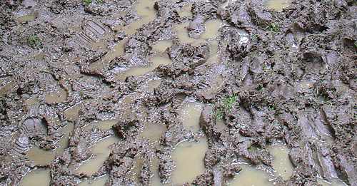 2008-TST-09-Matsch