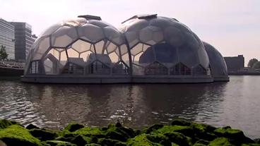 der-schwimmende-pavillon-in-rotterdam-10