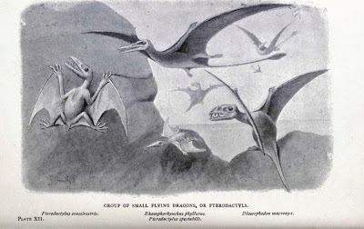 HUTCHINSON 1897 ExtinctMonsters Pterodac