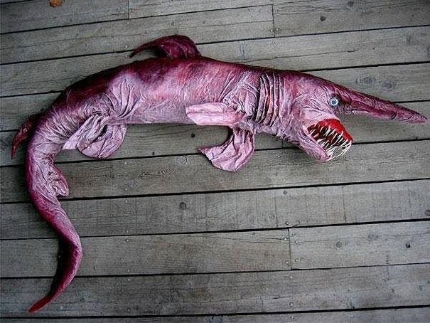 Bilder-Thread strange-animals-you-didnt-know-2-3