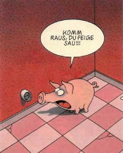 Bilder-Thread feigesau