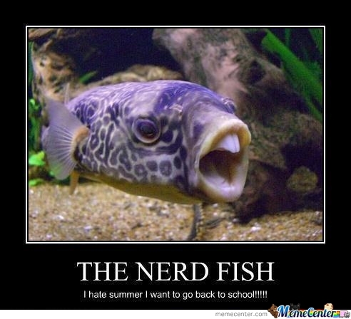 Bilder-Thread nerd fish o 349689