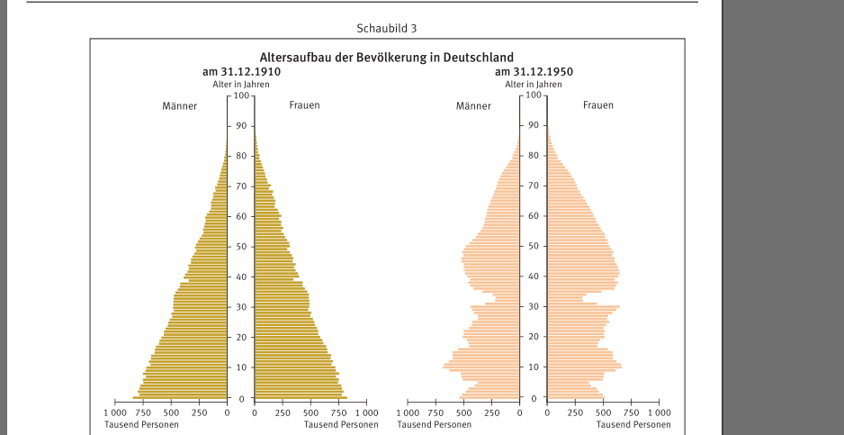 d6a91a000f Bevoelkerungsstruktur1910u195