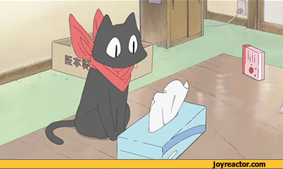 gif-cat-anime-wipes-394310