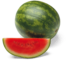 wassermelone1