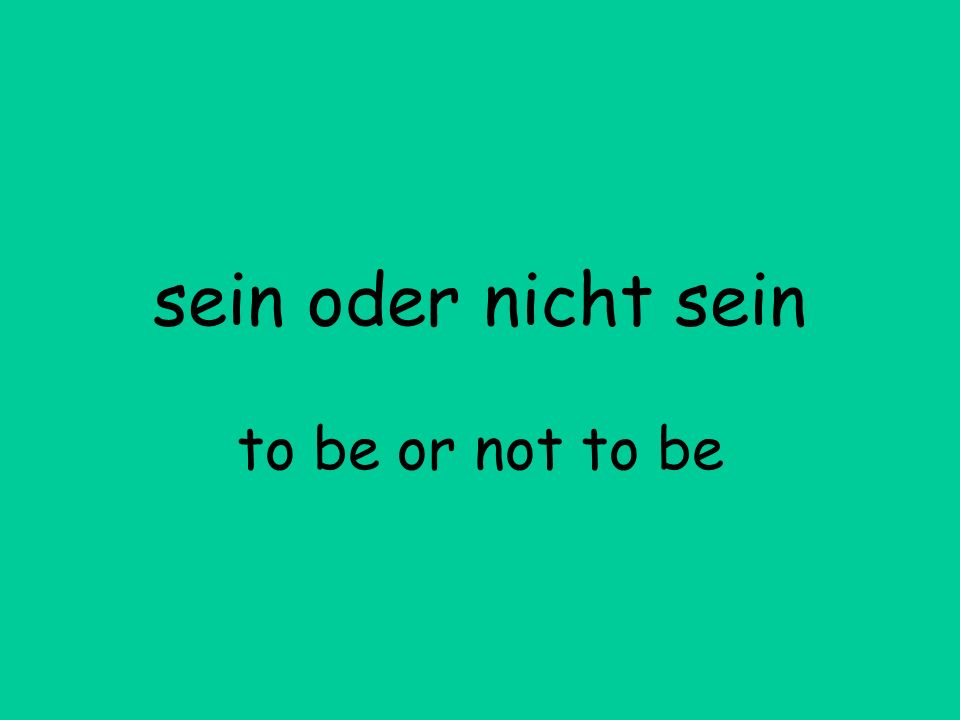 seinodernichtseintobeornottobe