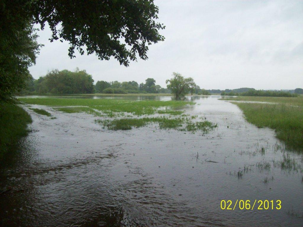 hochwasser-an-der-paar-bei-waidhofen-130