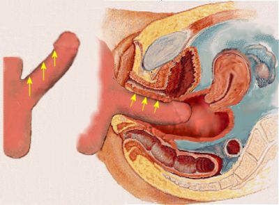 taa0a9d vagina penetrated4