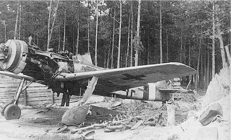 Bilder-Thread cntreffeat mt fw190d 91 brown4 bw
