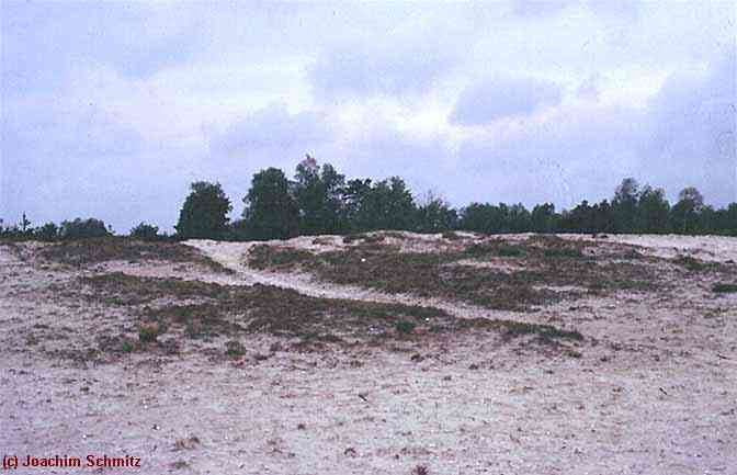 e6129f brunssumer heide