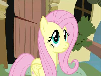 145537 - animated fluttershy no putting 