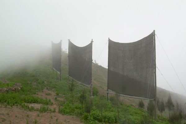 peru-fog-catchers 10142 600x450