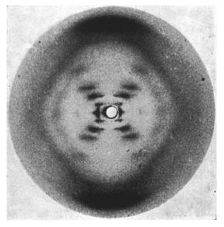 Photo 51 x-ray diffraction image