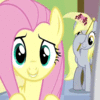 derpy gets scared gif by dnftt2011-d72pt