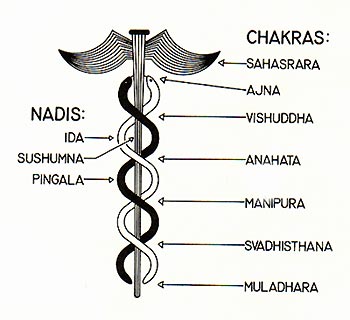 caduceus-kundalini-awakening-chakras
