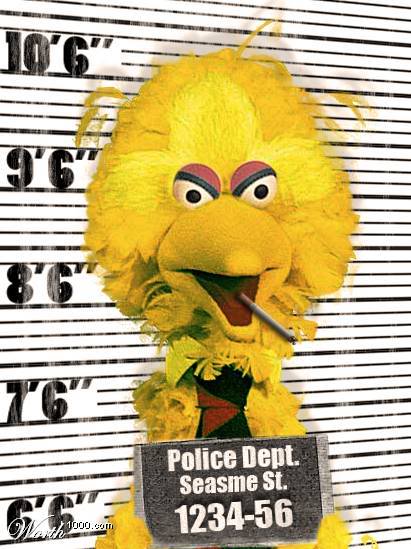 bigbird