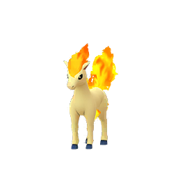 Ponyta