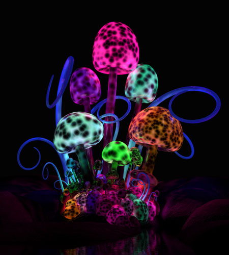 substance-shutter72330421-magic-mushroom