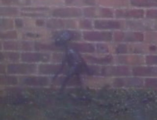 ukalien