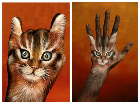 Bilder-Thread t6QGp4B two-painted-hand-cats