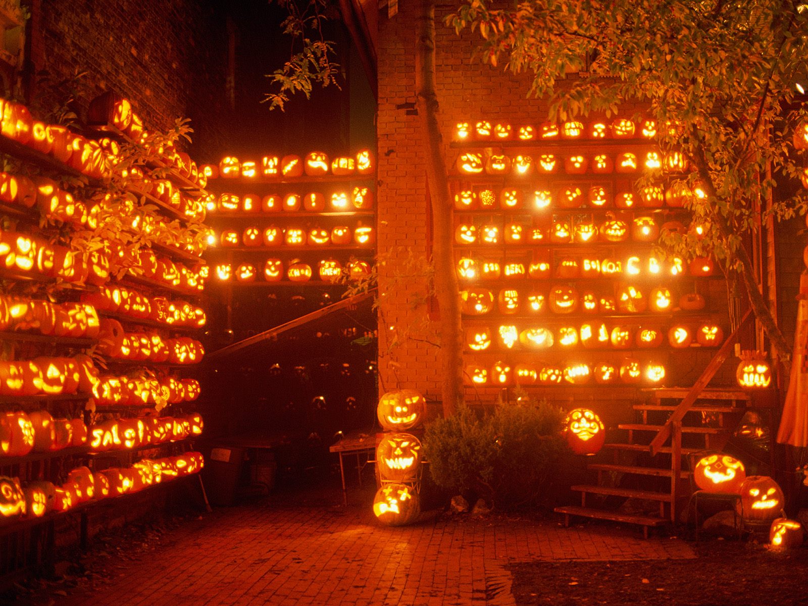 Bilder-Thread jackolanternsfn7