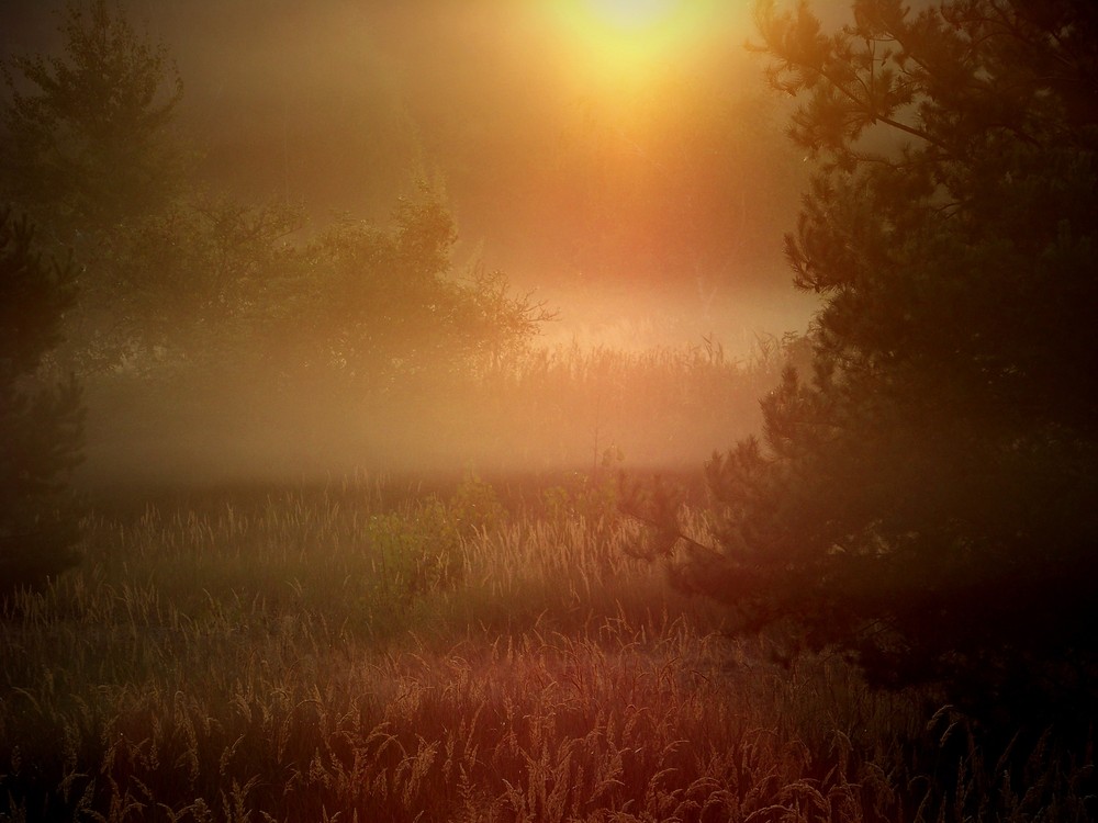 Bilder-Thread licht-548d5391-e5e6-4d3d-a743-90f8769d0b