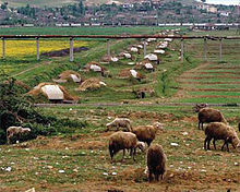 220px-Albania bunker line