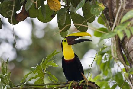 Ecuador Nationalpark Yasun2