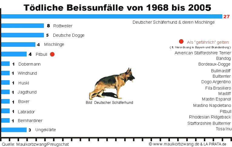 statistik