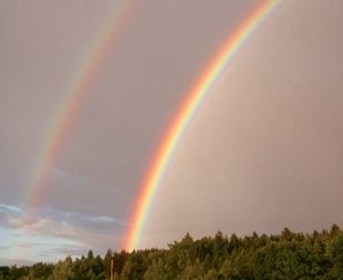 regenbogen