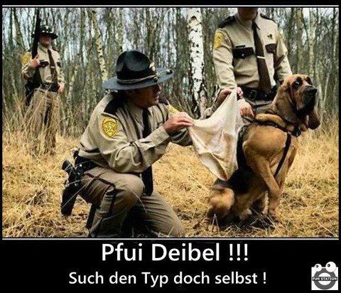 Bilder-Thread 797ad5 540800 460151134046820 467979502