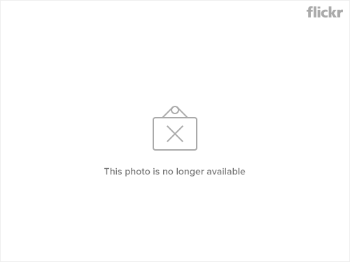 4802116077 ccec756855