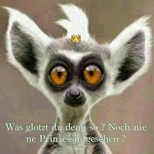Bilder-Thread 6a7afd prinzessin