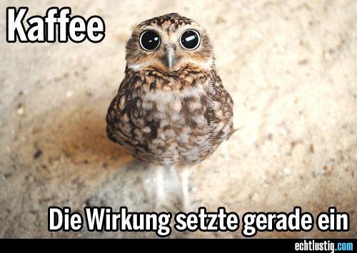 kaffee--die-wirkung-setzte-gerade-ein