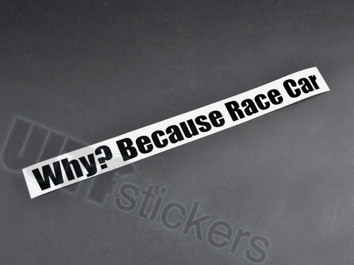 1349766030-because-racecar-decal