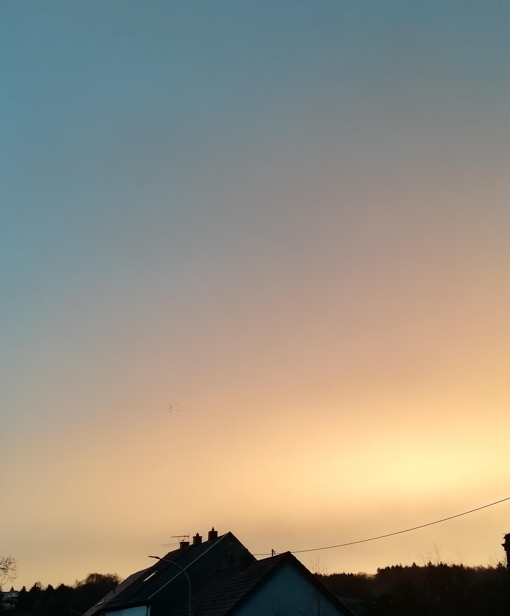 up 0d36ec6c4800e5b9 IMG 20200114 083944