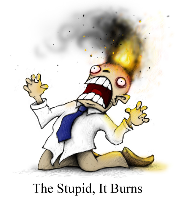 thestupiditburns